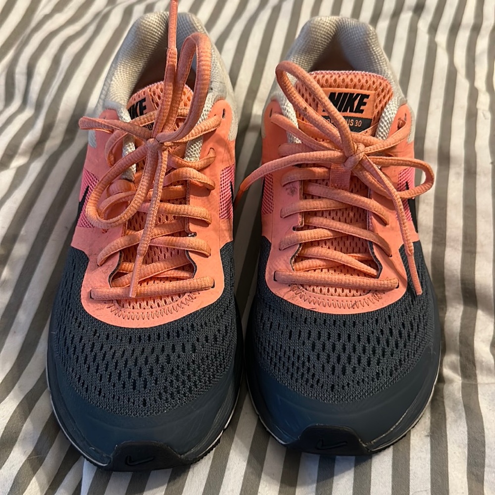 Nike Pegasus 30